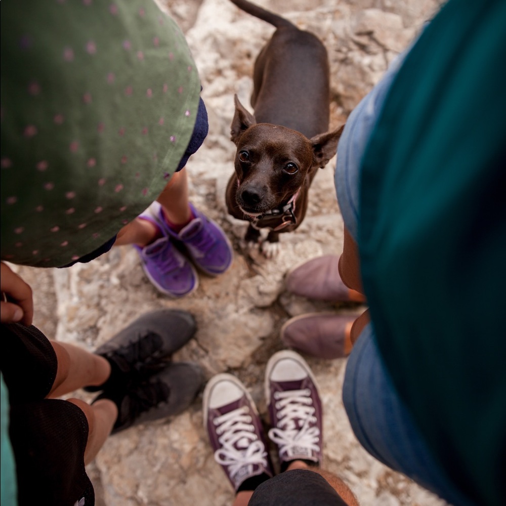 Meet your Posher, Codey